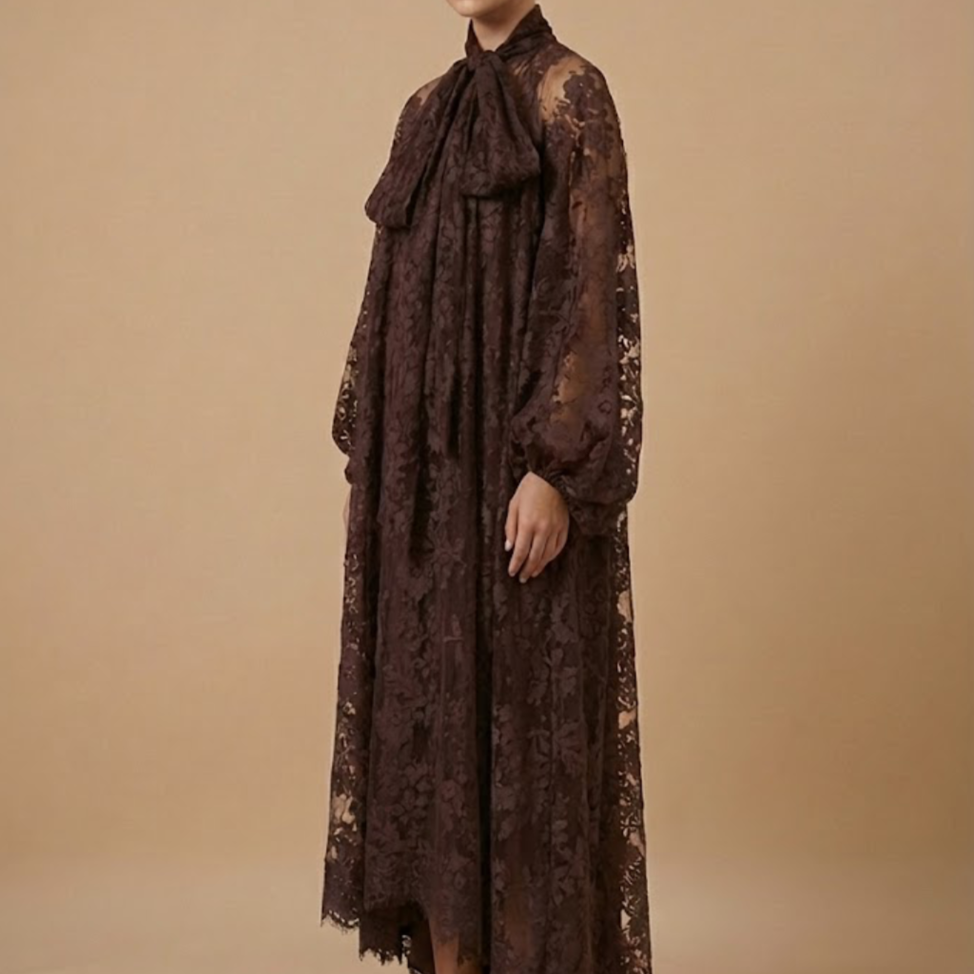 Women’s Elegant Maxi Dress – Sheer Lace Design with High Neck, Long Sleeves and Ribbon Detail